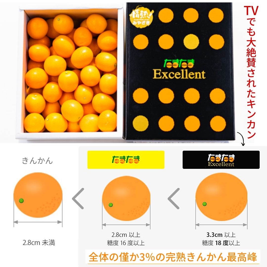 禮品:: 【禮盒】宮崎柑桔"TAMATAMA" EXCELLENT 1kg - 日本直送高品質食品網上超市WARAYA 和楽屋